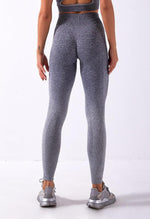 Ombre Vibrant Seamless Legging - Mayzia