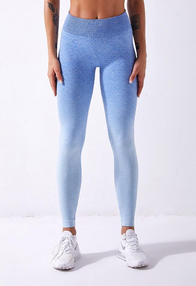 Ombre Vibrant Seamless Legging - Mayzia