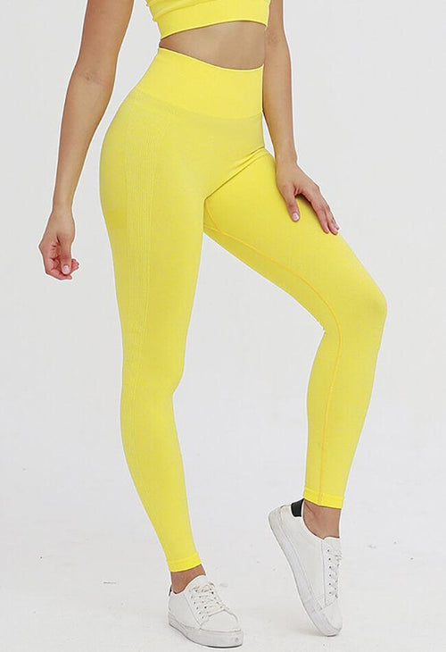 Power Flex Seamless Legging - Mayzia