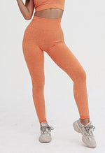 Power Flex Seamless Legging - Mayzia