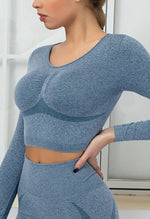 Seamless Folds Stretchy Slim Long Sleeve Crop Top - Terry - Mayzia