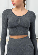 Seamless Folds Stretchy Slim Long Sleeve Crop Top - Terry - Mayzia