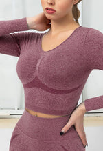 Seamless Folds Stretchy Slim Long Sleeve Crop Top - Terry - Mayzia