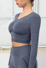 Seamless Folds Stretchy Slim Long Sleeve Crop Top - Terry - Mayzia