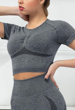 Seamless Folds Stretchy Slim Short Sleeve Top - Terry - Mayzia