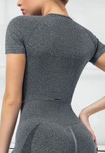 Seamless Folds Stretchy Slim Short Sleeve Top - Terry - Mayzia
