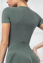 Seamless Folds Stretchy Slim Short Sleeve Top - Terry - Mayzia