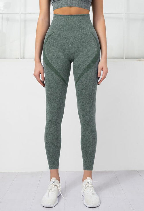 Seamless High Rise Stretchy Legging - Terry - Mayzia