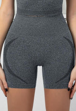 Seamless High Rise Stretchy Short - Terry - Mayzia