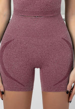 Seamless High Rise Stretchy Short - Terry - Mayzia