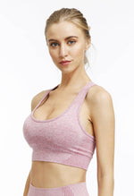 Velocity Sports Bra - Mayzia