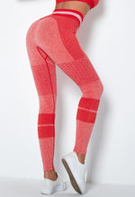 Vibrant Seamless Leggings - Mayzia